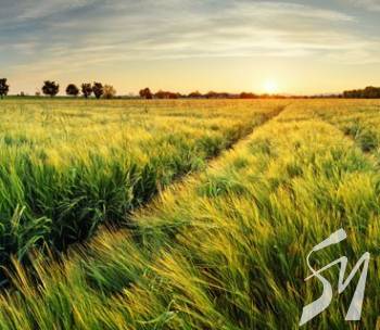 � ����������� ������ �������� ������� �� �������� � ���������  ����� 9����.��� ����